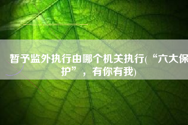 暂予监外执行由哪个机关执行(“六大保护”，有你有我)