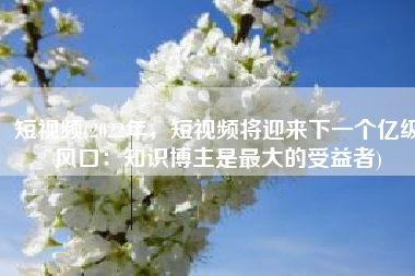 短视频(2022年，短视频将迎来下一个亿级风口：知识博主是最大的受益者)