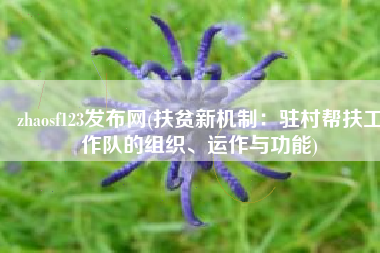 zhaosf123发布网(扶贫新机制：驻村帮扶工作队的组织、运作与功能)