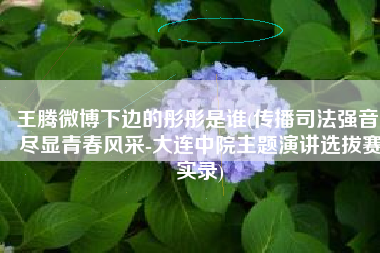 王腾微博下边的彤彤是谁(传播司法强音 尽显青春风采-大连中院主题演讲选拔赛实录)