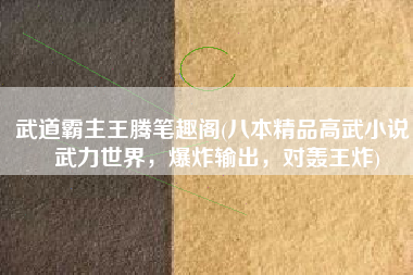 武道霸主王腾笔趣阁(八本精品高武小说，武力世界，爆炸输出，对轰王炸)
