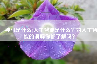 神马是什么(人工智能是什么？对人工智能的误解你都了解吗？)