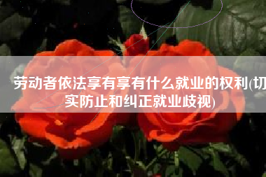 劳动者依法享有享有什么就业的权利(切实防止和纠正就业歧视)