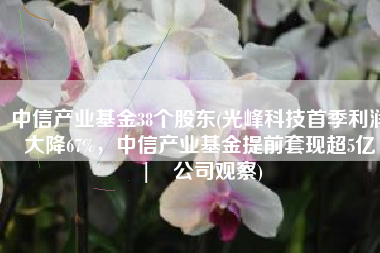 中信产业基金38个股东(光峰科技首季利润大降67%，中信产业基金提前套现超5亿 | 公司观察)