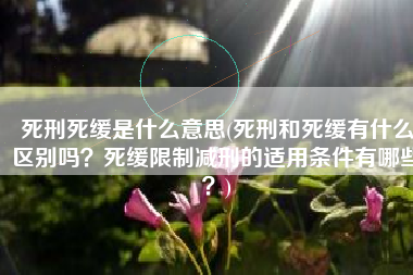 死刑死缓是什么意思(死刑和死缓有什么区别吗？死缓限制减刑的适用条件有哪些？)
