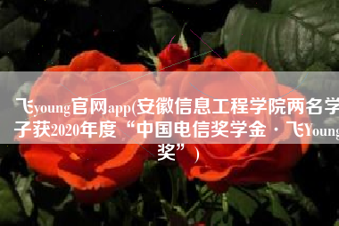 飞young官网app(安徽信息工程学院两名学子获2020年度“中国电信奖学金·飞Young奖”)