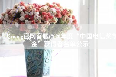 飞young官网客服(2020年度“中国电信奖学金”获得者名单公示)