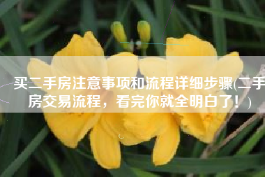 买二手房注意事项和流程详细步骤(二手房交易流程，看完你就全明白了！)