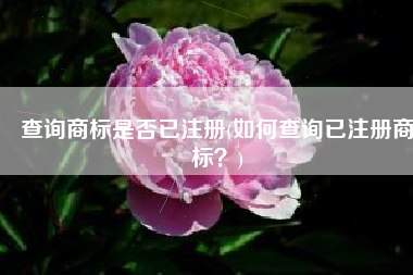 查询商标是否已注册(如何查询已注册商标？)