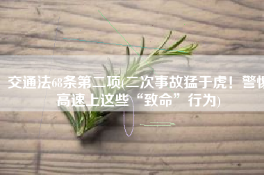 交通法68条第二项(二次事故猛于虎！警惕高速上这些“致命”行为)