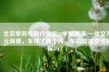 北京单双号限行规定2020 新能源(一年交万元保费，车停了两个月，车险能减费或延保吗？)