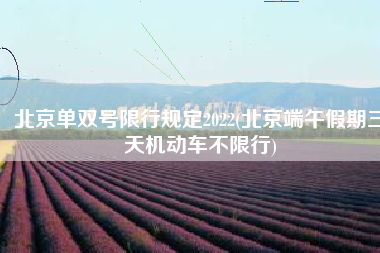 北京单双号限行规定2022(北京端午假期三天机动车不限行)