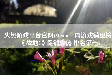 火热游戏平台官网(Steam一周游戏销量榜：《战地5》促销火热 排名第一)