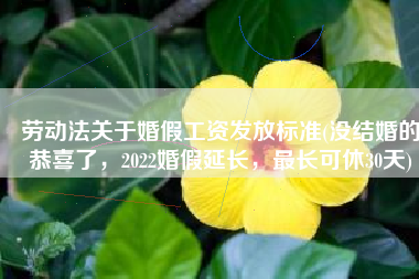劳动法关于婚假工资发放标准(没结婚的恭喜了，2022婚假延长，最长可休30天)