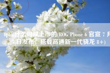 6plus什么时候上市的(ROG Phone 6 官宣 7 月 5 日发布，搭载高通新一代骁龙 8+)