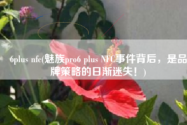 6plus nfc(魅族pro6 plus NFC事件背后，是品牌策略的日渐迷失！)