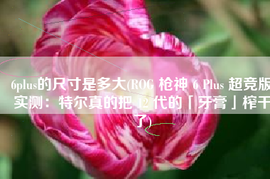 6plus的尺寸是多大(ROG 枪神 6 Plus 超竞版实测：特尔真的把 12 代的「牙膏」榨干了)