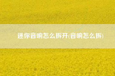 迷你音响怎么拆开(音响怎么拆)
