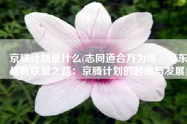 京腾计划是什么(志同道合方为谋，京东战略联盟之路：京腾计划的起源与发展)