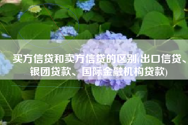 买方信贷和卖方信贷的区别(出口信贷、银团贷款、国际金融机构贷款)