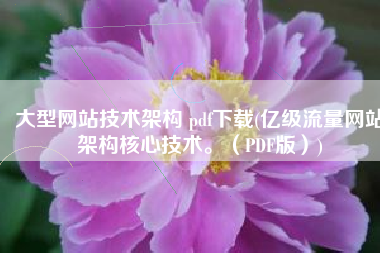 大型网站技术架构 pdf下载(亿级流量网站架构核心技术。（PDF版）)