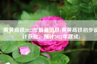 黄黄高铁2022年最新消息(黄黄高铁初步设计获批，预计2022年建成)