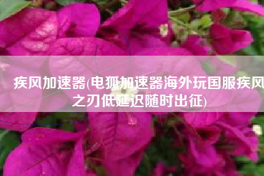疾风加速器(电狐加速器海外玩国服疾风之刃低延迟随时出征)