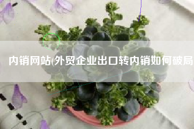 内销网站(外贸企业出口转内销如何破局)
