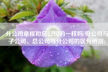 分公司章程和总公司的一样吗(母公司与子公司、总公司与分公司的区分辨别)