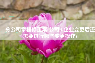 分公司章程修正案(公司+企业变更后还需要进行哪些变更操作)