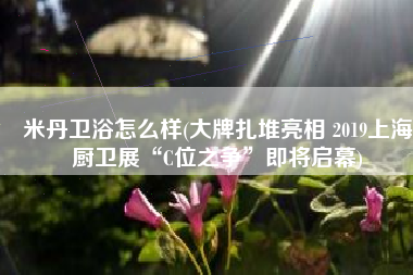 米丹卫浴怎么样(大牌扎堆亮相 2019上海厨卫展“C位之争”即将启幕)