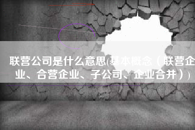 联营公司是什么意思(基本概念（联营企业、合营企业、子公司、企业合并）)