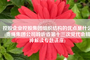 控股企业控股集团组织结构的优点是什么(贵绳集团公司聆听省第十三次党代会精神解读专题讲座)