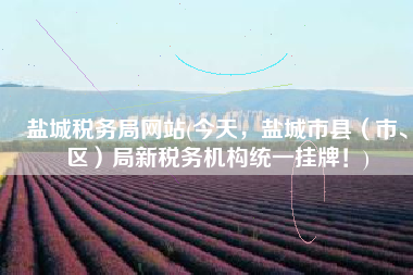 盐城税务局网站(今天，盐城市县（市、区）局新税务机构统一挂牌！)