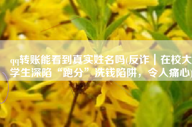 qq转账能看到真实姓名吗(反诈｜在校大学生深陷“跑分”洗钱陷阱，令人痛心)