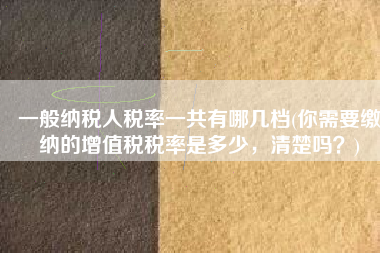 一般纳税人税率一共有哪几档(你需要缴纳的增值税税率是多少，清楚吗？)