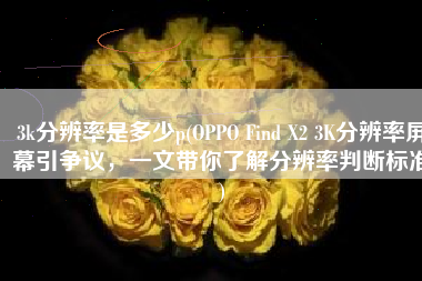 3k分辨率是多少p(OPPO Find X2 3K分辨率屏幕引争议，一文带你了解分辨率判断标准)