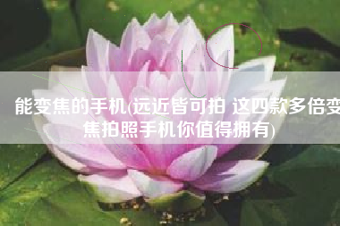 能变焦的手机(远近皆可拍 这四款多倍变焦拍照手机你值得拥有)