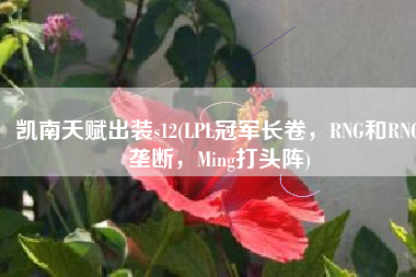 凯南天赋出装s12(LPL冠军长卷，RNG和RNG垄断，Ming打头阵)