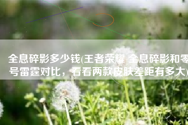 全息碎影多少钱(王者荣耀 全息碎影和零号雷霆对比，看看两款皮肤差距有多大)