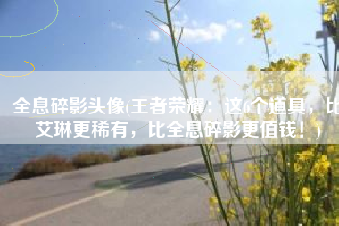 全息碎影头像(王者荣耀：这6个道具，比艾琳更稀有，比全息碎影更值钱！)