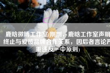 鹿晗微博工作室(刚刚，鹿晗工作室声明终止与爱彼品牌合作关系，因后者言论严重违反一中原则)