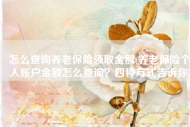 怎么查询养老保险领取金额(养老保险个人账户金额怎么查询？四种方式告诉你)