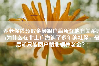 养老保险领取金额跟户籍所在地有关系吗(为什么在北上广缴纳了多年的社保，最后却只能回户籍地领养老金？)
