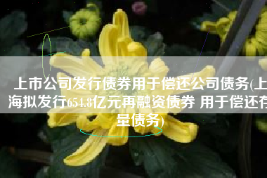 上市公司发行债券用于偿还公司债务(上海拟发行654.8亿元再融资债券 用于偿还存量债务)