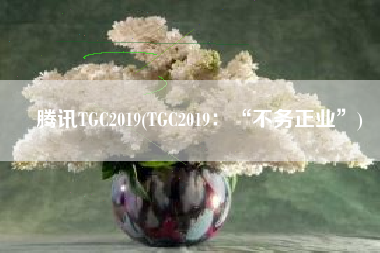 腾讯TGC2019(TGC2019：“不务正业”)