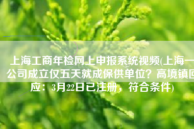 上海工商年检网上申报系统视频(上海一公司成立仅五天就成保供单位？高境镇回应：3月22日已注册，符合条件)