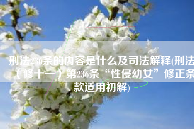 刑法236条的内容是什么及司法解释(刑法（修十一）第236条“性侵幼女”修正条款适用初解)