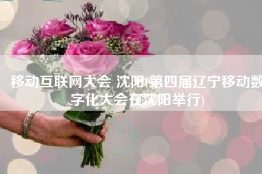 移动互联网大会 沈阳(第四届辽宁移动数字化大会在沈阳举行)