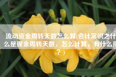 流动资金周转天数怎么算(会计常识之什么是现金周转天数，怎么计算，有什么用？)